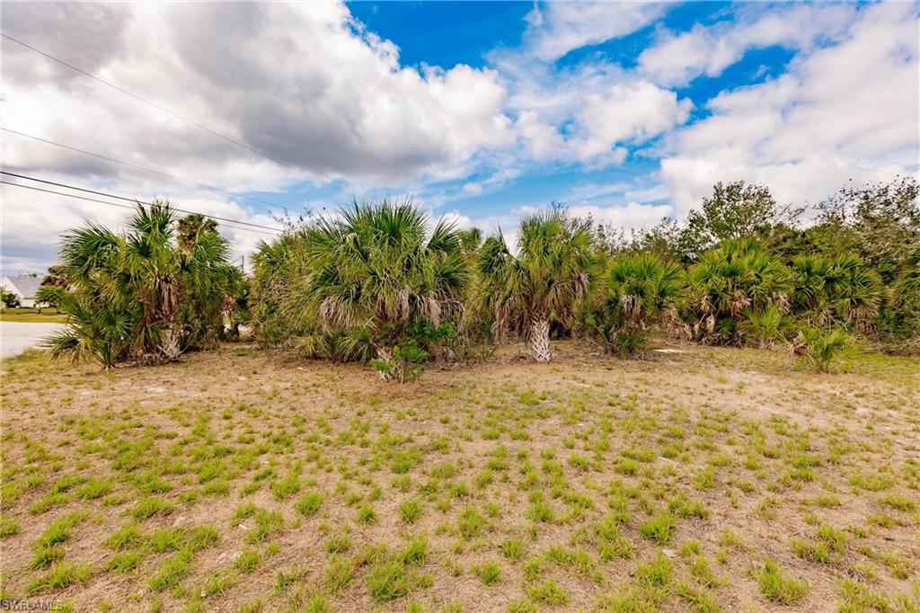 18286 Burkholder Cir Property Photo 7