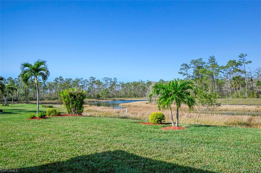 13098 Cardeto Ct Property Photo 32