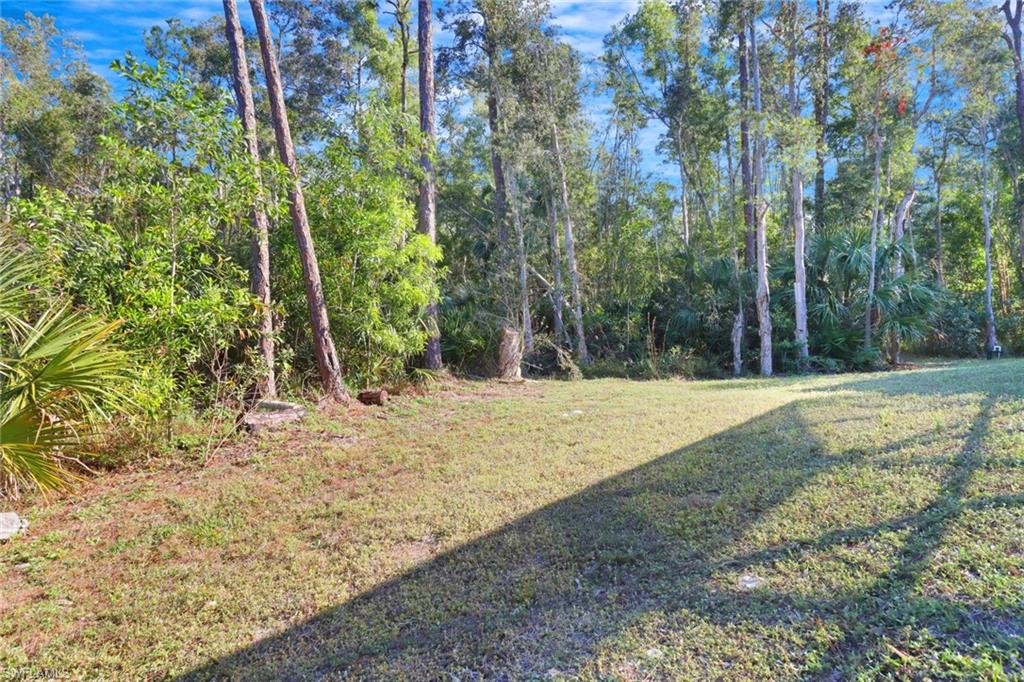 6371 Silver And Lewis Ln Property Photo 39