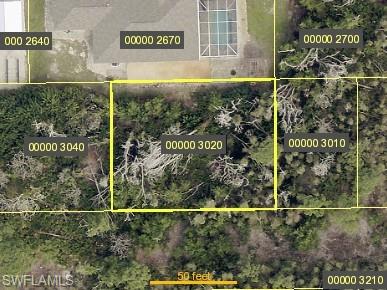 Papaya AVE Property Photo 1