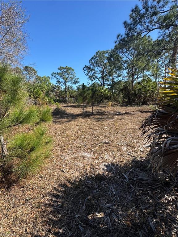 855 S Cabbage Palm St Property Photo 3