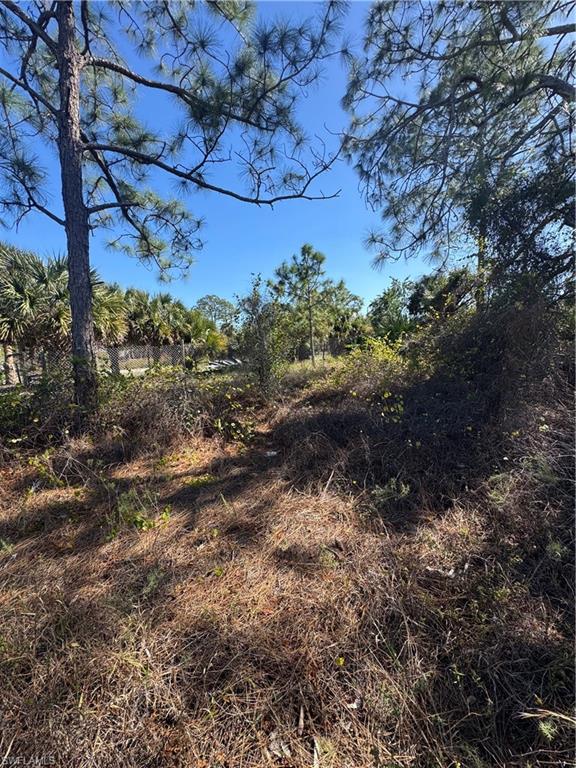855 S Cabbage Palm St Property Photo 4