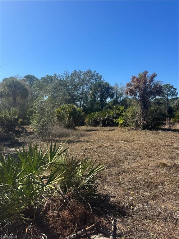 855 S Cabbage Palm St Property Photo 6