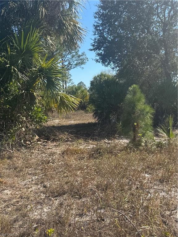 855 S Cabbage Palm St Property Photo 7