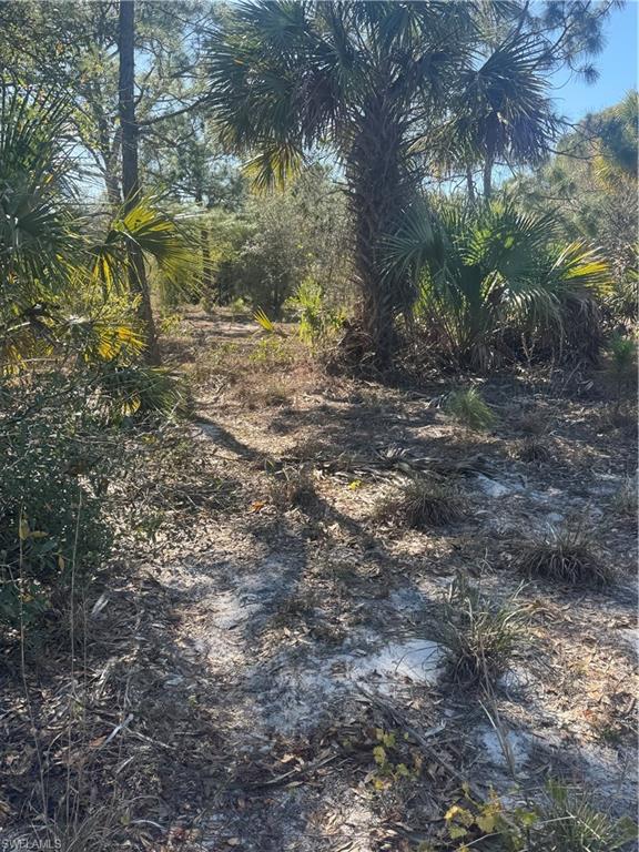 855 S Cabbage Palm St Property Photo 9