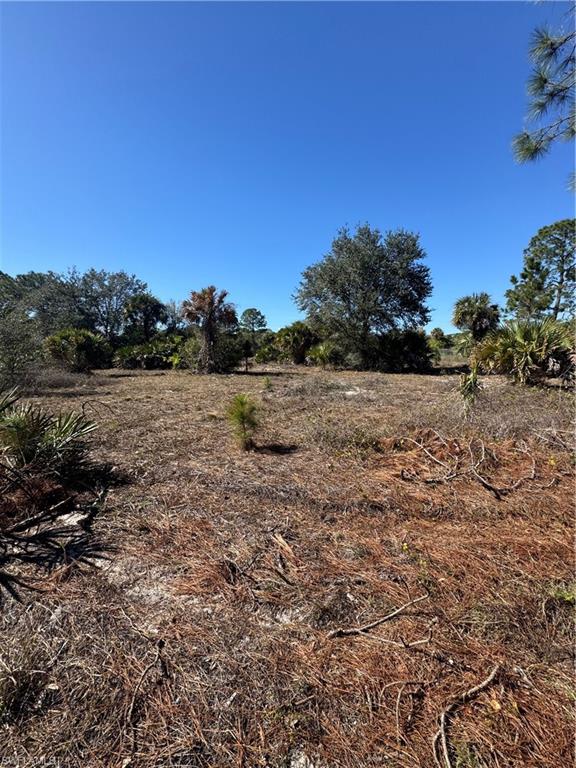 855 S Cabbage Palm St Property Photo 10