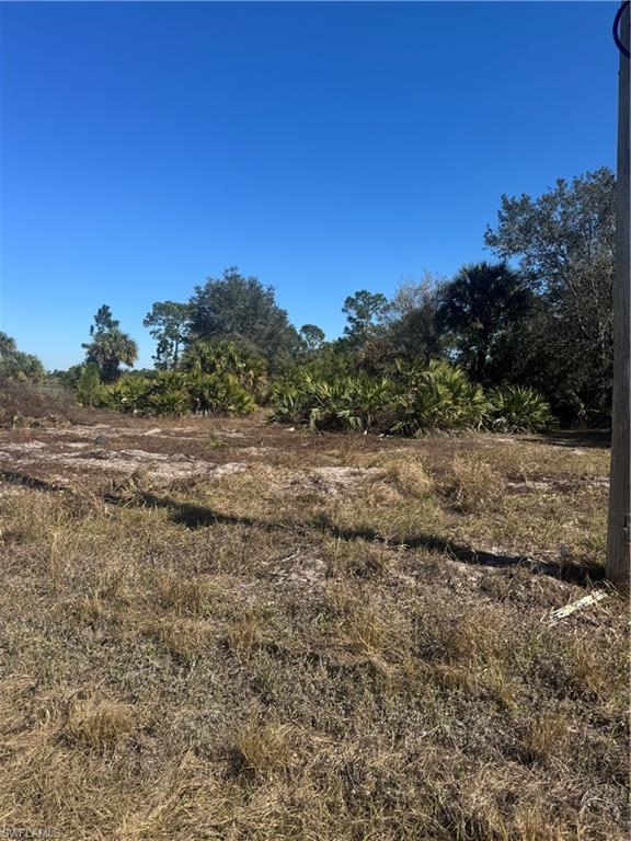 855 S Cabbage Palm St Property Photo 13
