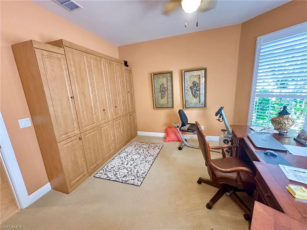 28880 Kiranicola Ct Property Photo 22