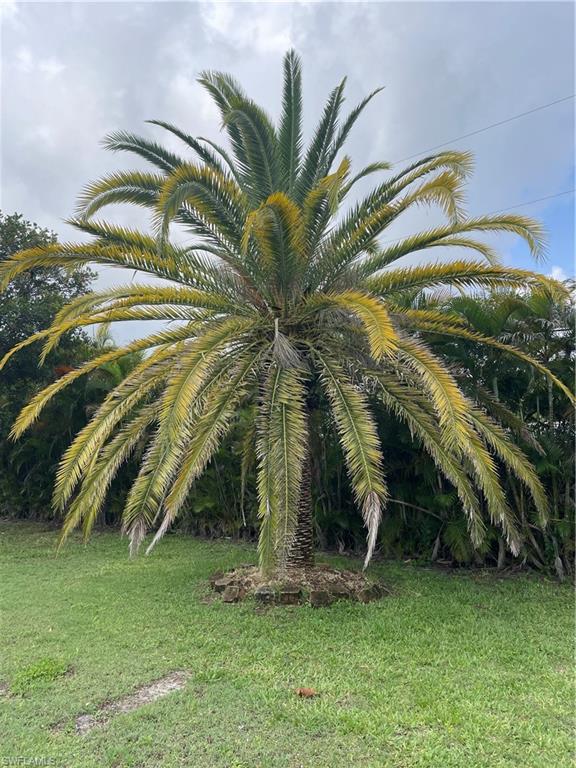 1618 Country Club Blvd Property Photo 33
