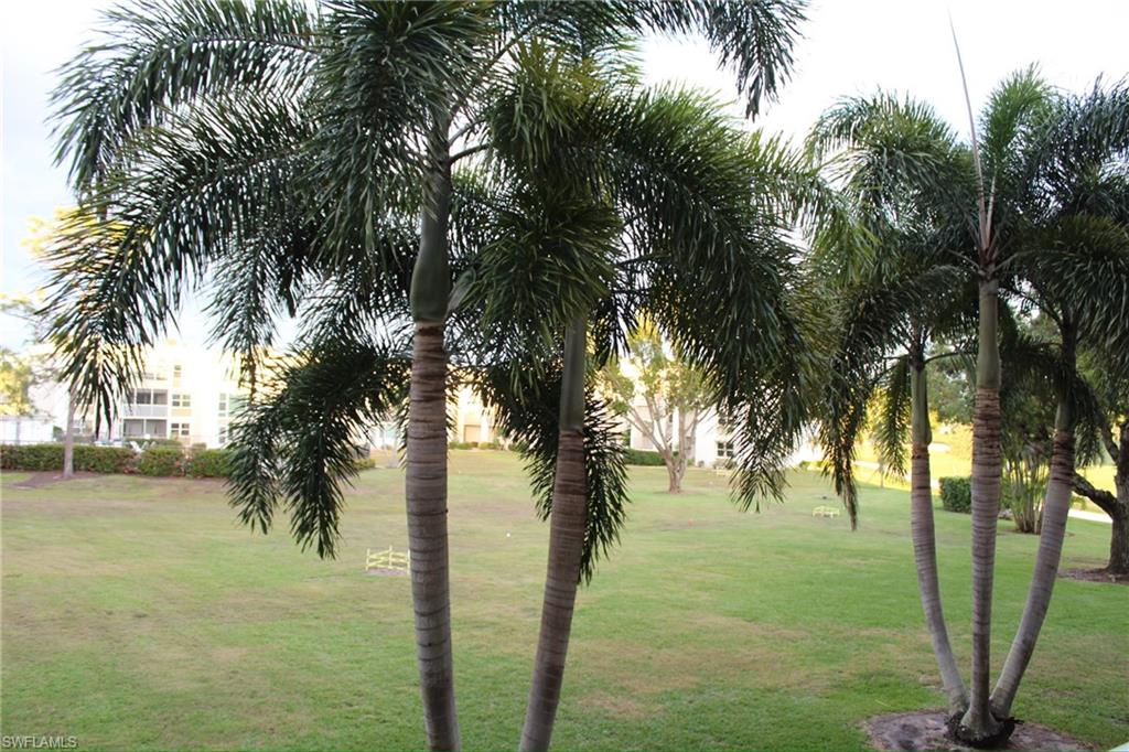 1580 Pine Valley Dr # 217 Property Photo 23