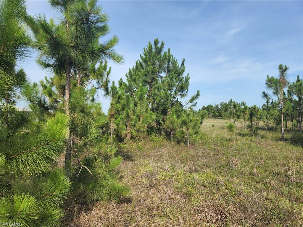 3065 Everglades Blvd N Property Photo 1