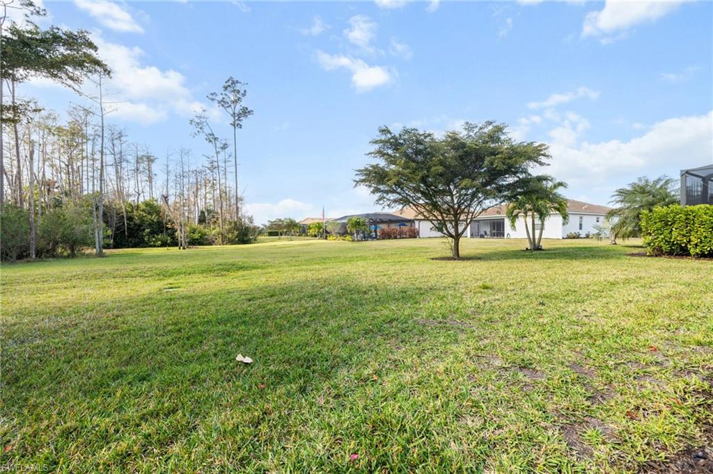 10457 Prato Dr Property Photo 2