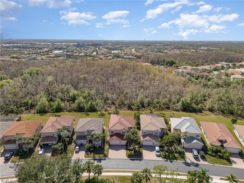 10188 Mimosa Silk Dr Property Photo 45