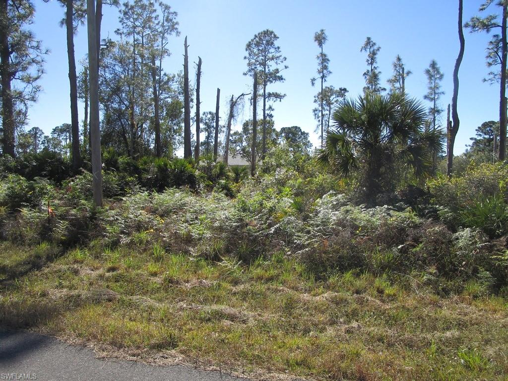 1138 Crocus St E Property Photo 3