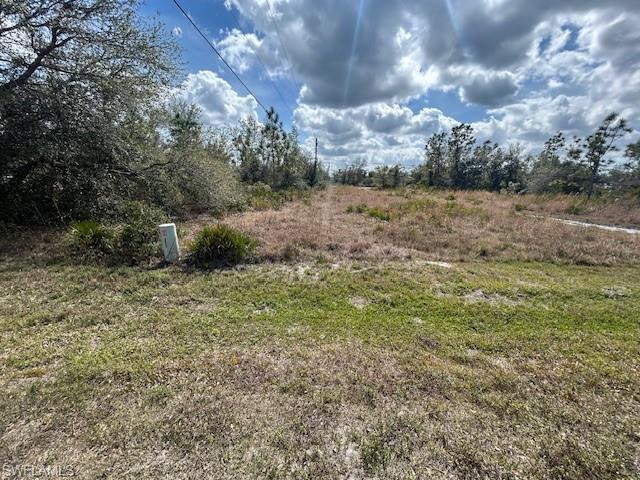 29451 Peace River Shores Blvd Property Photo 2