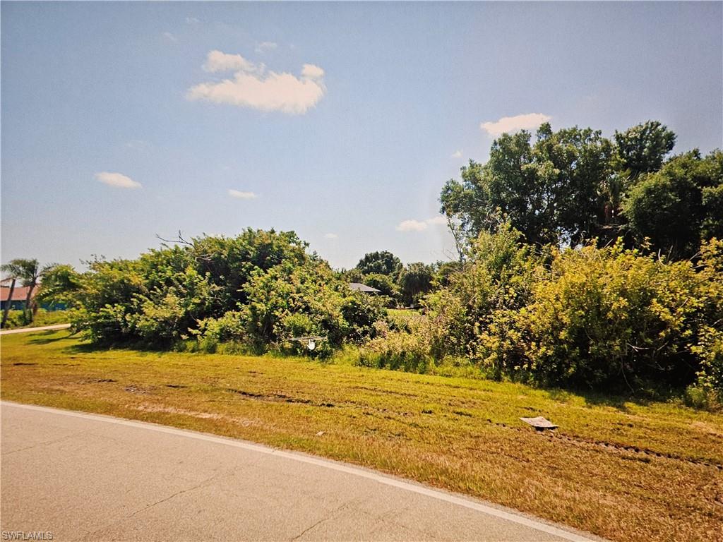 10121 Willmington Blvd Property Photo 2