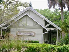 12809 Fairway Cove Ct Property Photo 48