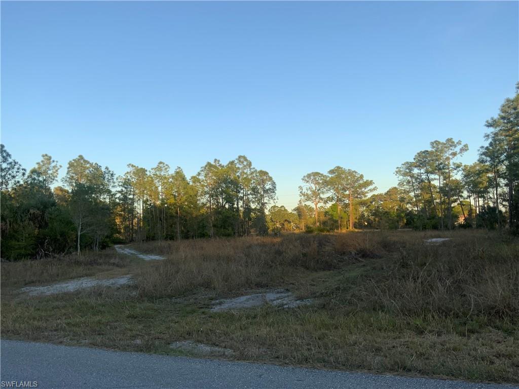 1316 Edison Ave Property Photo 2