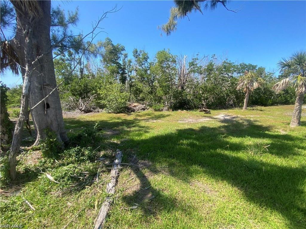 Lot 7 & 10 Access Undetermined Property Photo 17