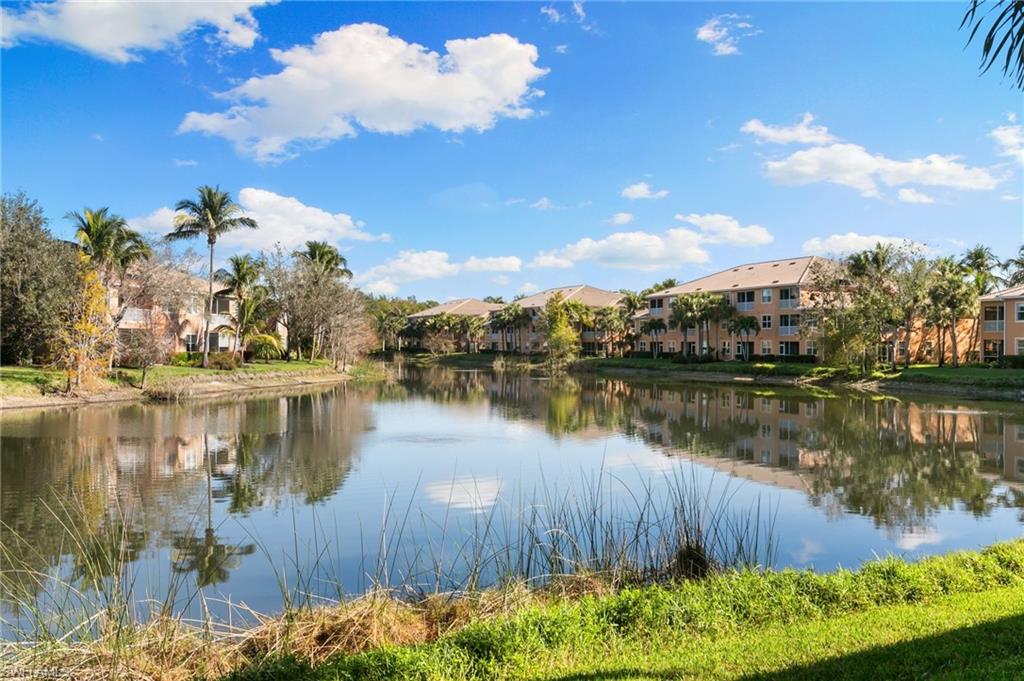 9651 Spanish Moss Way # 4112 Property Photo 23