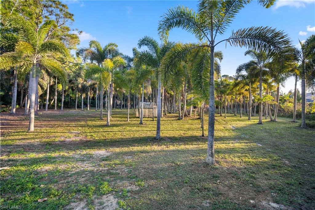 1805 Heritage Trl Property Photo 45