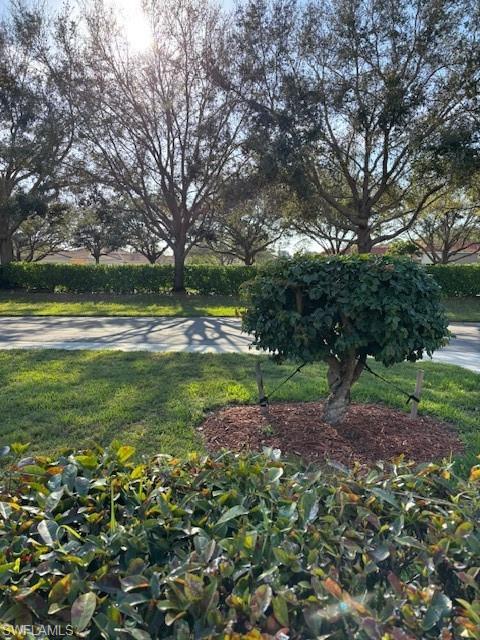 7918 Haven Dr 2 Property Photo 28
