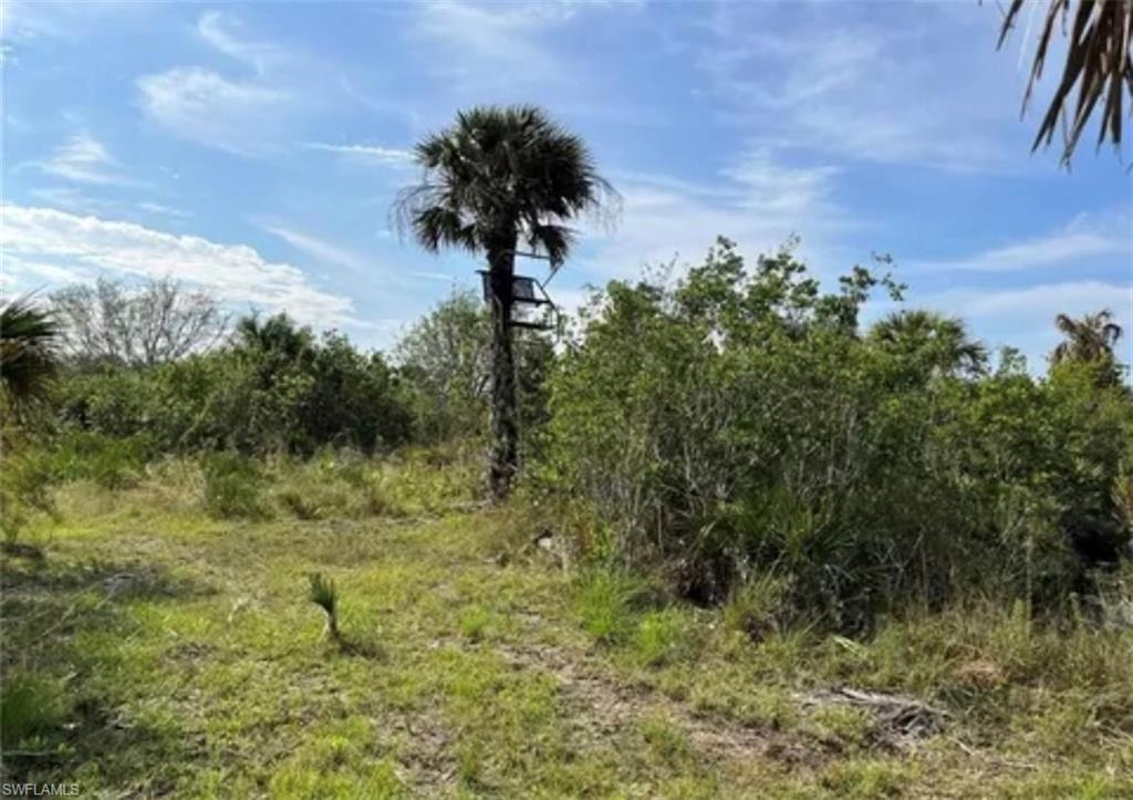 50984 Bermont Rd Property Photo 14