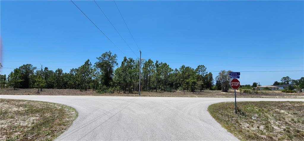 318 Petite AVE Property Photo 1