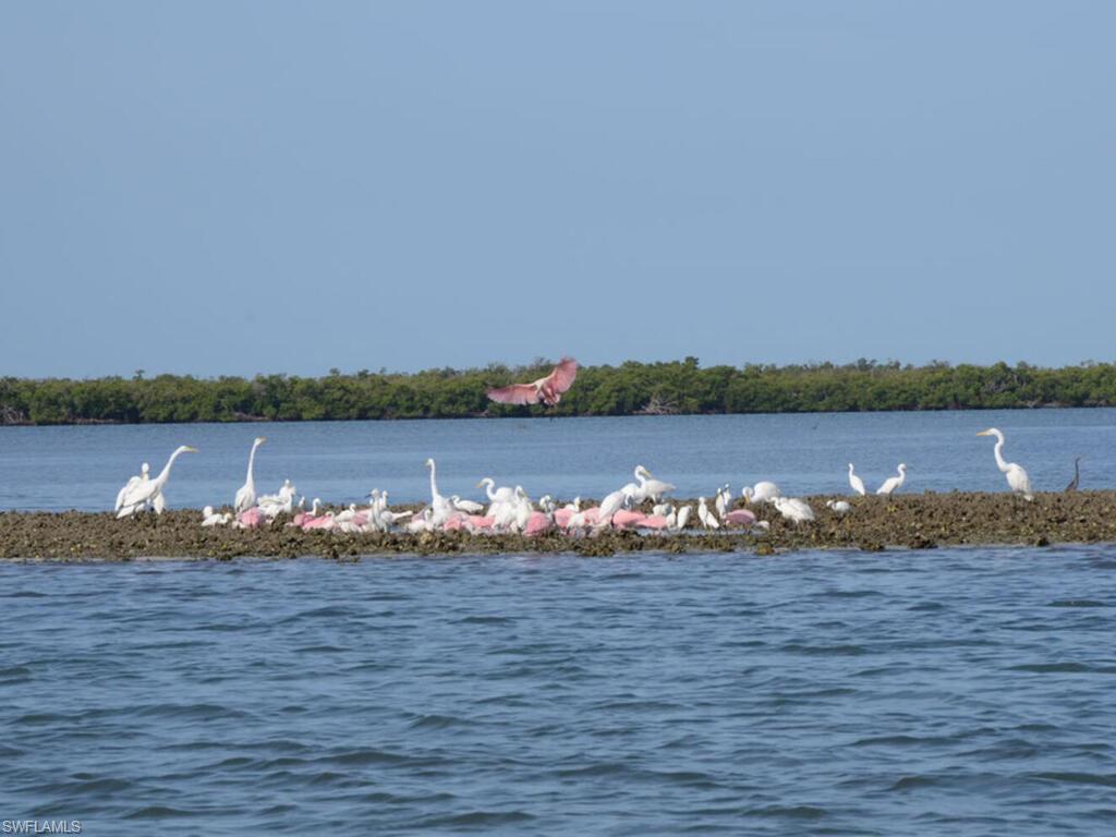 111 Morning Star Cay Property Photo 43