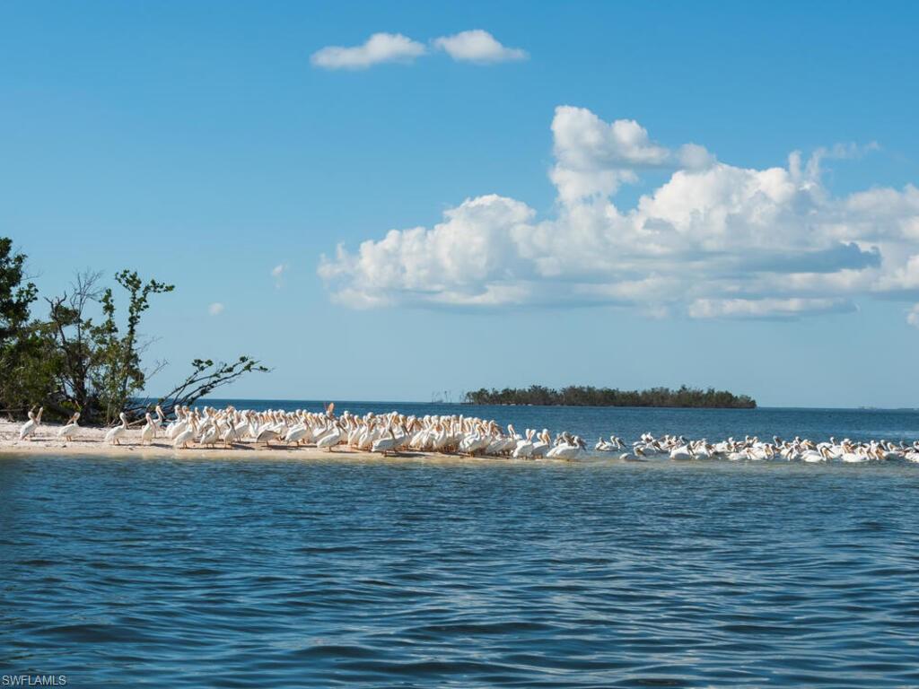 111 Morning Star Cay Property Photo 47