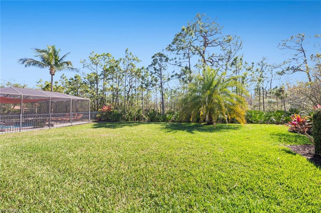 9316 River Otter Dr Property Photo 15
