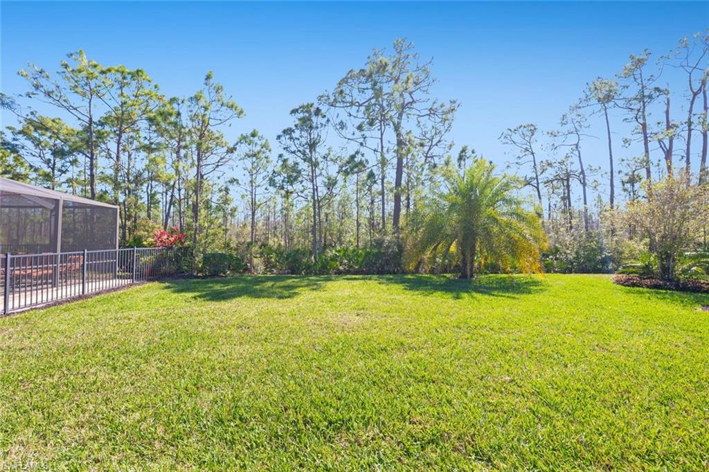 9316 River Otter Dr Property Photo 16