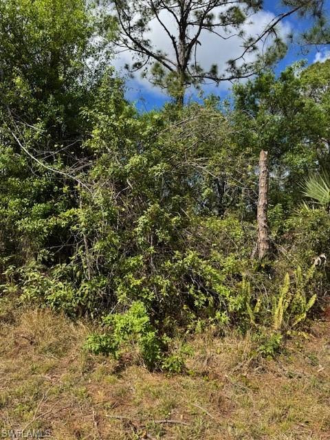 Lutz Rd Property Photo