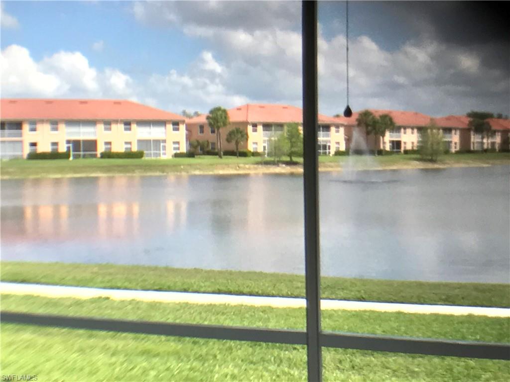 13831 Eagle Ridge Lakes Dr # 201 Property Photo 21
