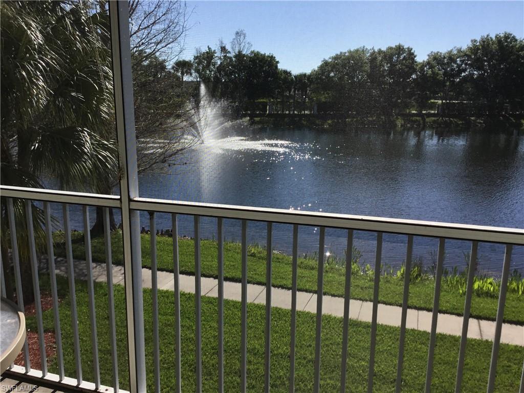 13831 Eagle Ridge Lakes Dr # 201 Property Photo 22
