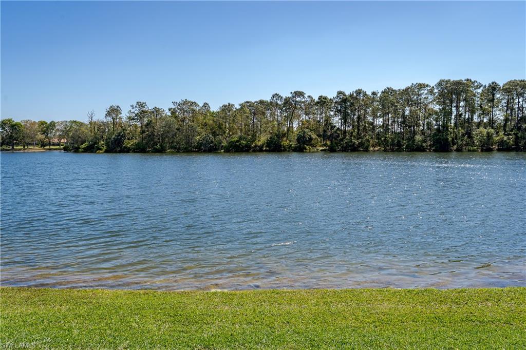6136 Dogleg Dr Property Photo 41