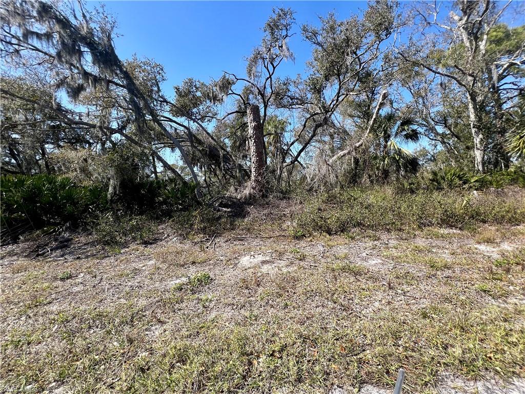 955 Bowman Ter Property Photo