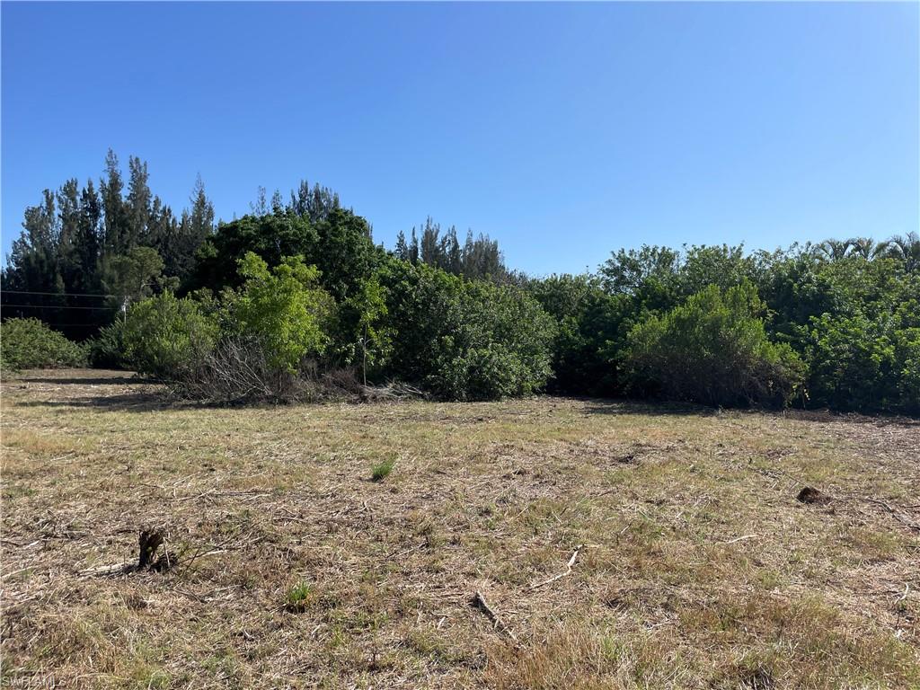 1812 Wade Dr Property Photo 3