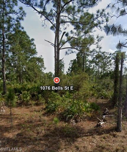 1076 Bells St E Property Photo 3