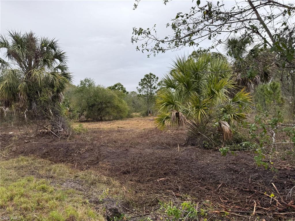 13270 Banyan Dr Property Photo 3