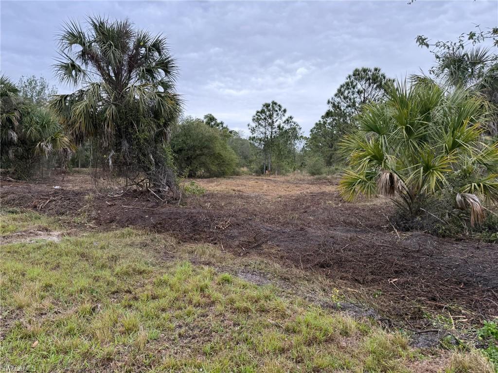 13270 Banyan Dr Property Photo 5