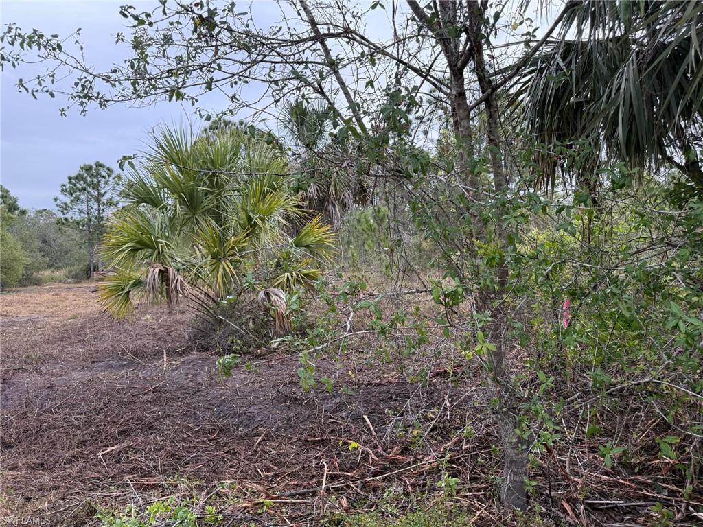 13270 Banyan Dr Property Photo 6
