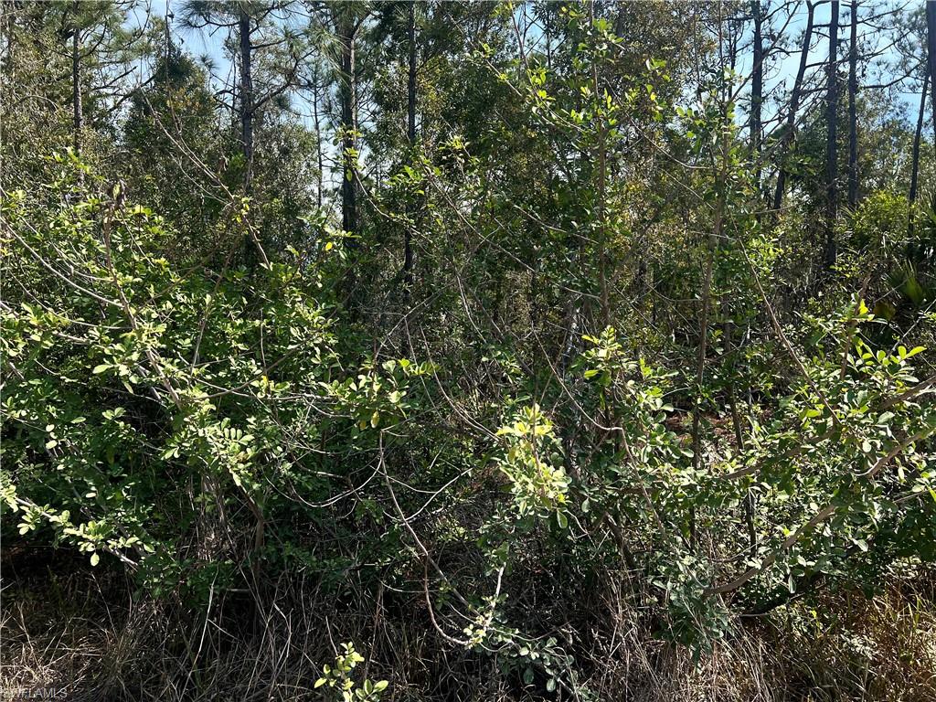 8158 Gewant Blvd Property Photo 3