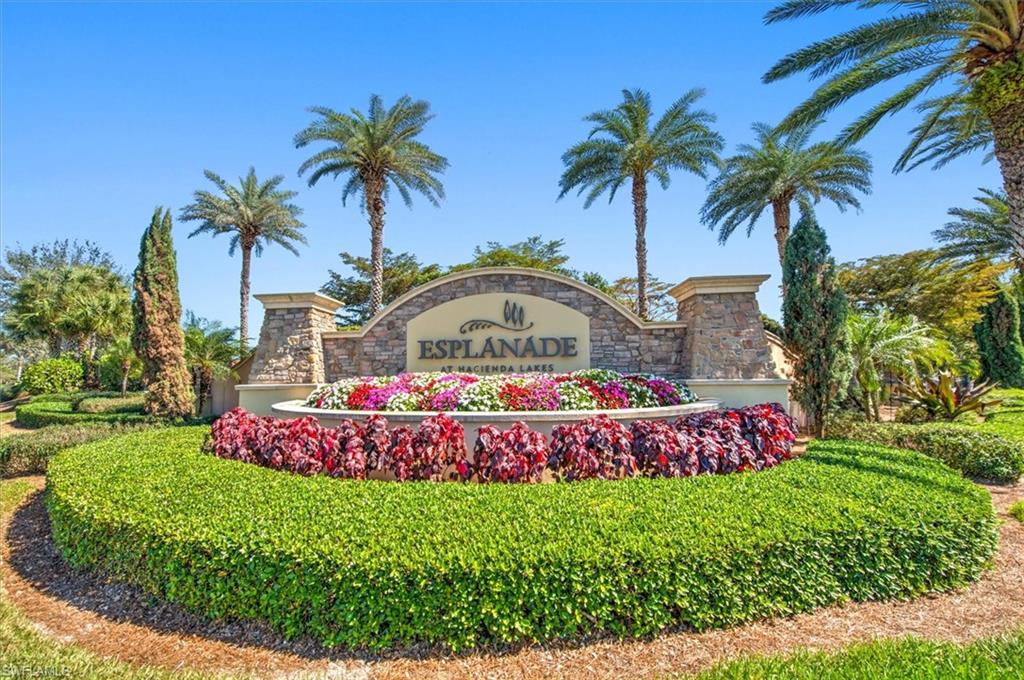 8075 Calle Canovas St Property Photo