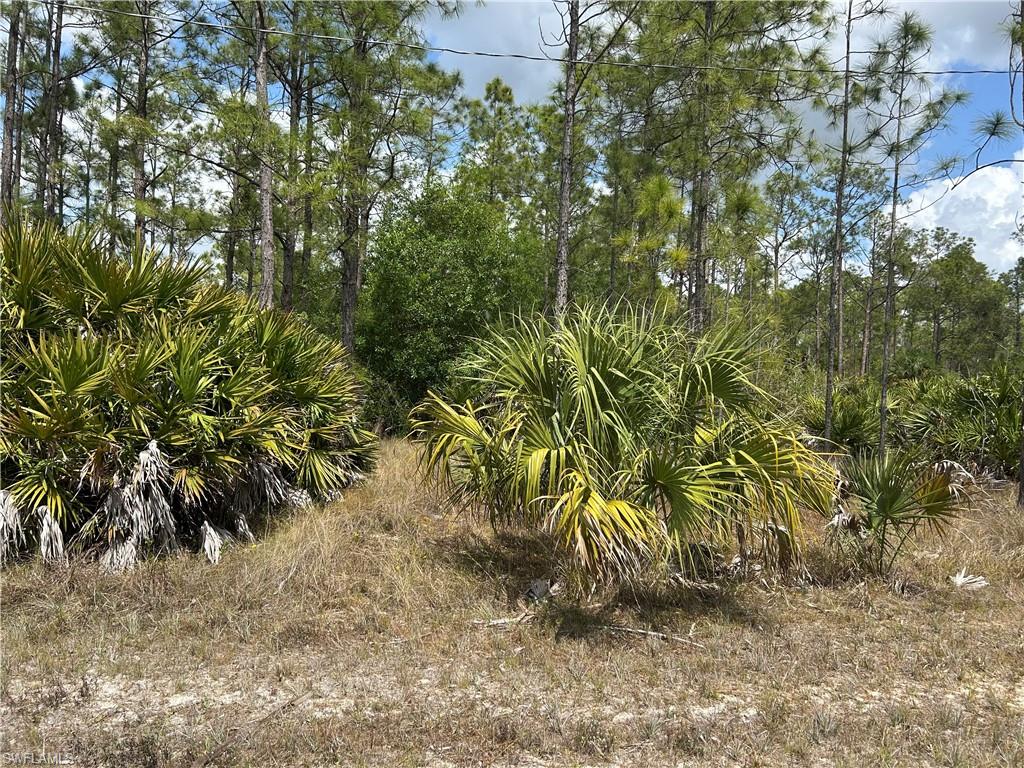1847 Lindenwood Dr Property Photo 2