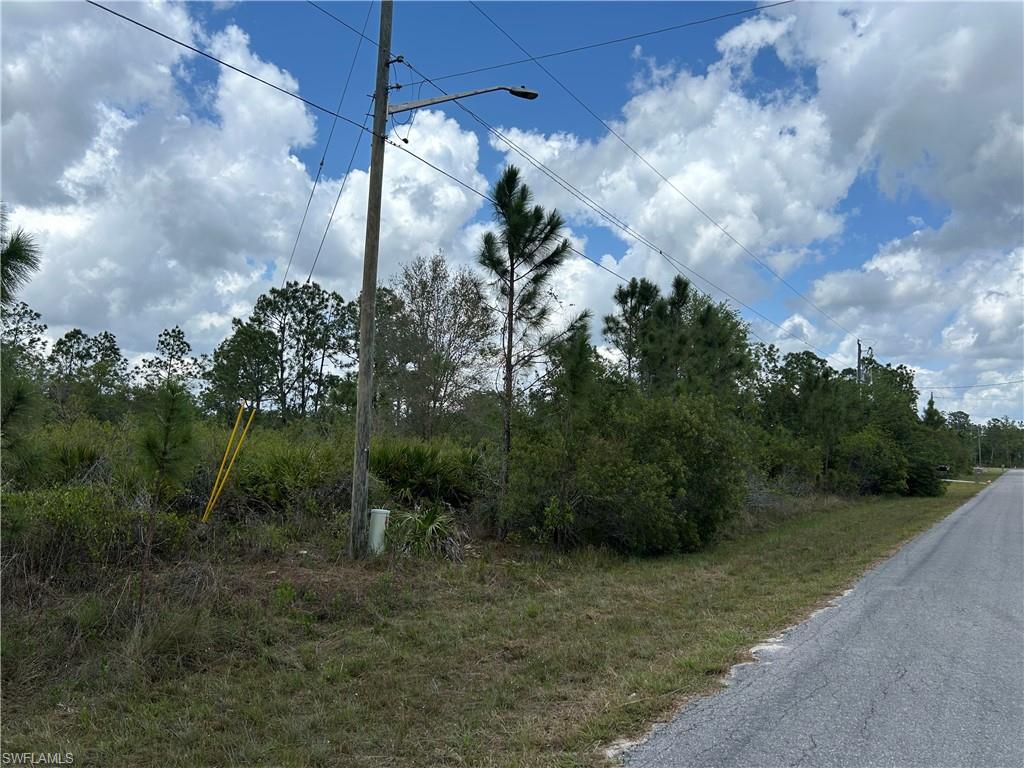 1847 Lindenwood Dr Property Photo 4