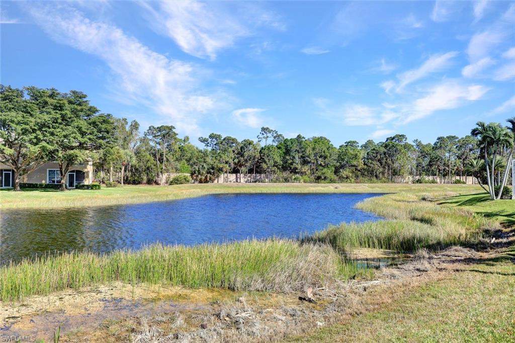 23054 Grassy Pine Dr Property Photo 20