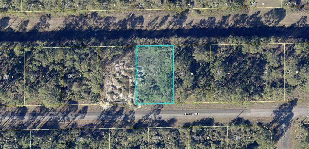 1123 Crocus St Property Photo 1