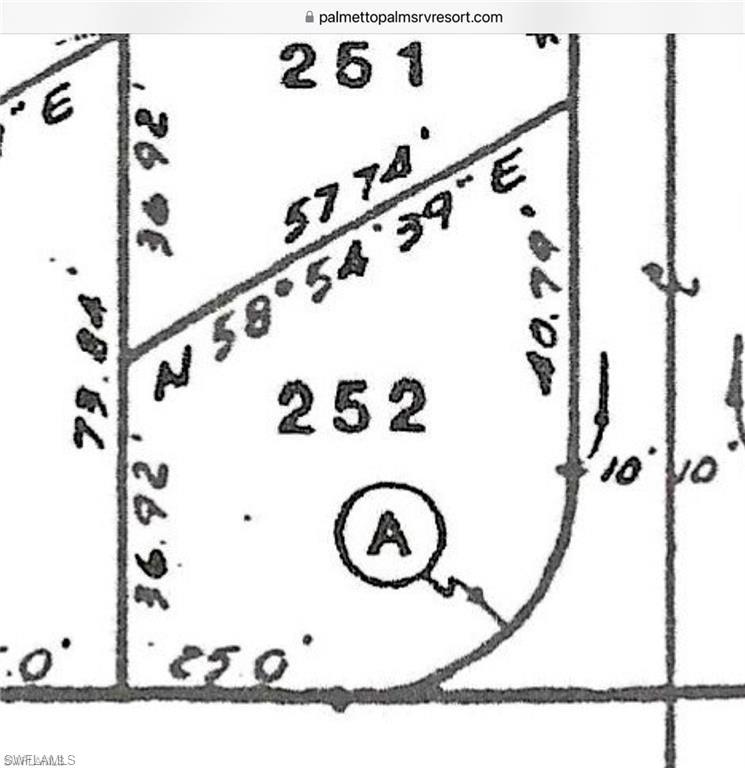 19681 #252 Summerlin Rd Property Photo 4