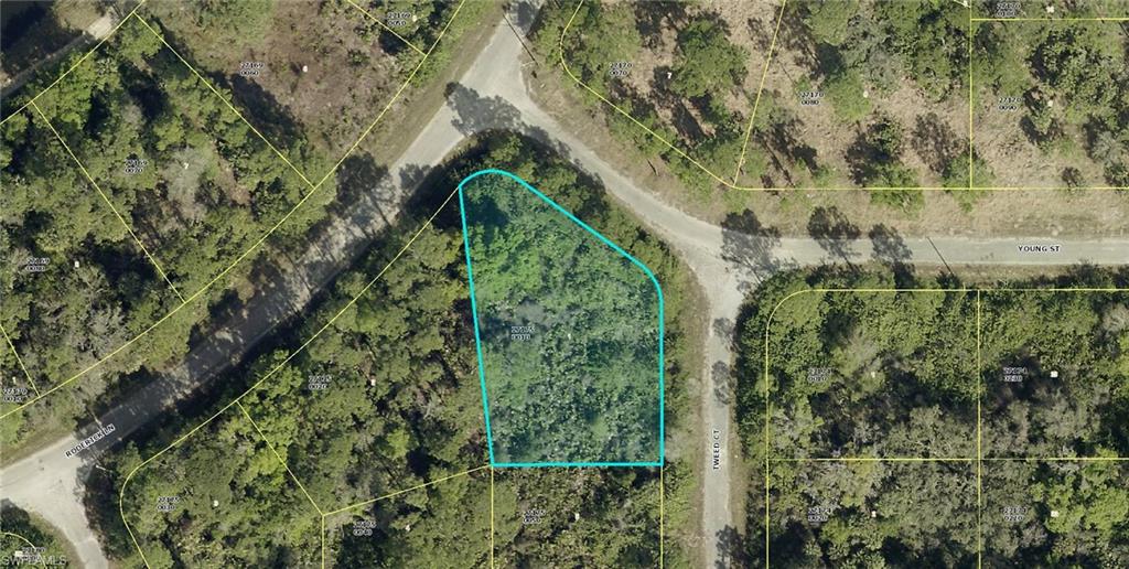 497 Young ST Property Photo 1